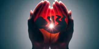 o aborto, a maternidade e o direito a vida