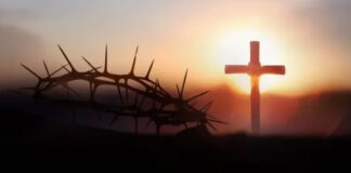 Os Preparativos de Jesus: Fé, Traição e Escolhas Finais