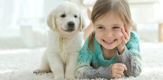 Criação dos Filhos: A Superproteção e a Comparação com Animais