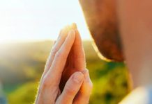 Gratidão: a arte de dar e receber como Deus