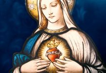 O Imaculado Coração de Maria: Mãe e Mestra do Salvador