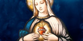 O Imaculado Coração de Maria: Mãe e Mestra do Salvador