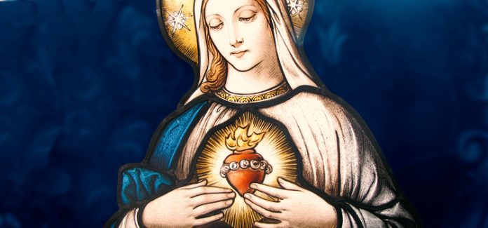 Sagrado Coração de Maria O Imaculado Coração de Maria: Mãe e Mestra do Salvador