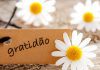 A Gratidão: A Chave que Abre Portas Invisíveis