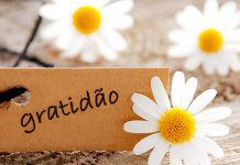 A Gratidão: A Chave que Abre Portas Invisíveis