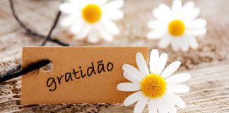 A Gratidão: A Chave que Abre Portas Invisíveis
