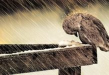 Refúgio em Deus: Força e Paz nas Dificuldades da Vida