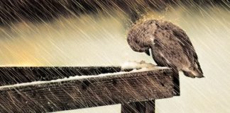 Refúgio em Deus: Força e Paz nas Dificuldades da Vida