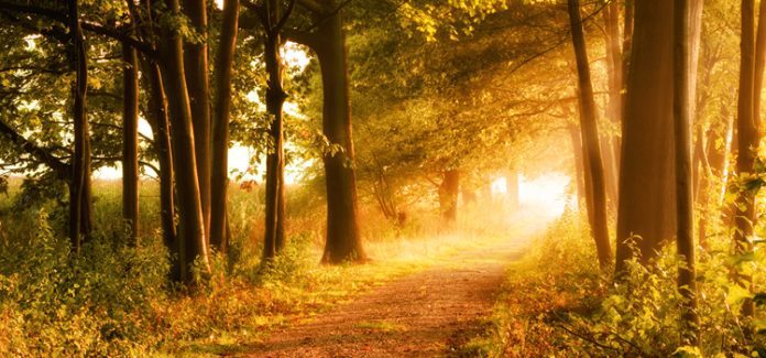 caminhos para Deus O egoísmo fecha o coração para Deus