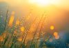 Recomeçar com Deus: um novo amanhecer para hoje