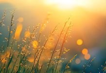 Recomeçar com Deus: um novo amanhecer para hoje