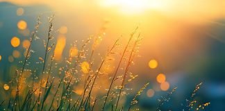 Recomeçar com Deus: um novo amanhecer para hoje