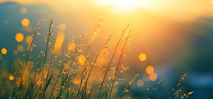 Recomeçar e cada novo amanhecer Recomeçar com Deus: um novo amanhecer para hoje