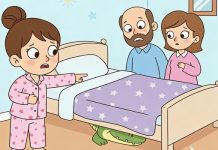 jacaré debaixo da cama